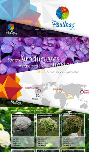 Flores Paulinas SAS